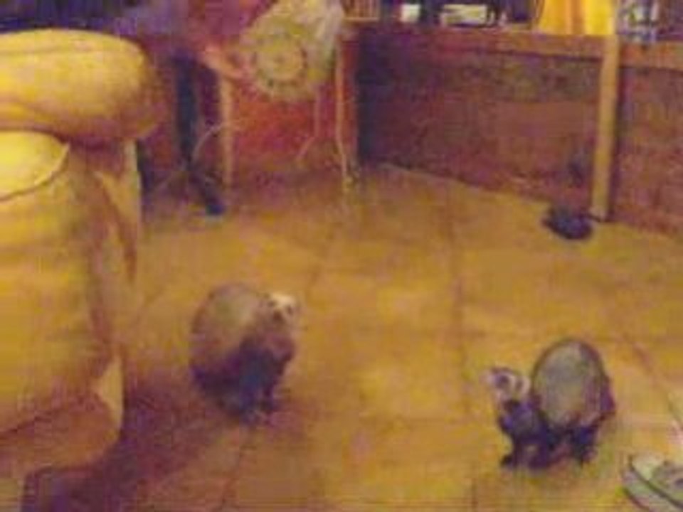 Film sonny et paowni