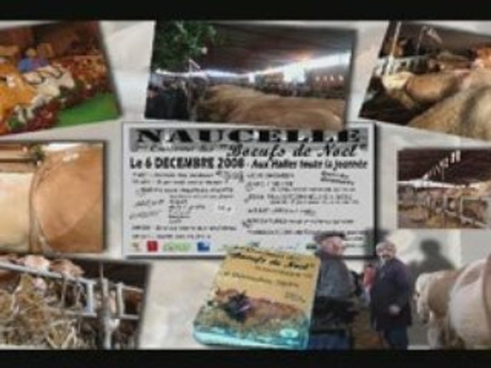 Naucelle & les boeufs de Noël