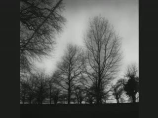 Sourate At-tîn - Le figuier