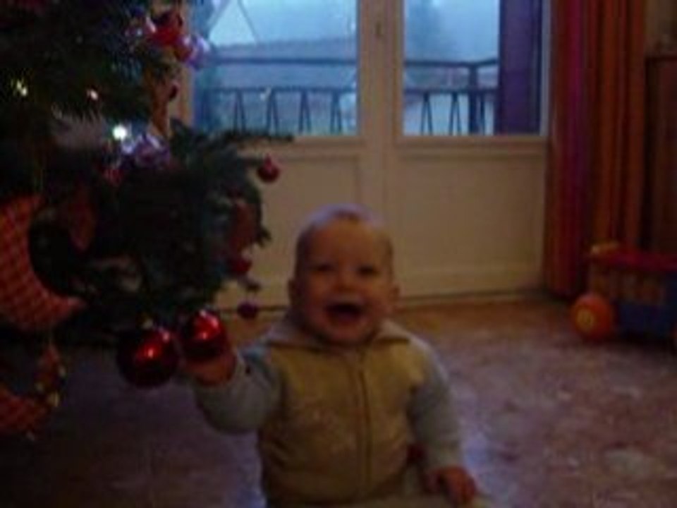 max_sapin
