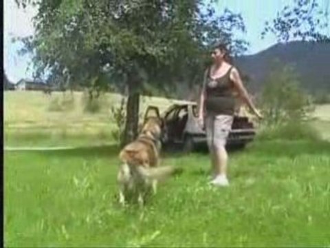 Pépite viens jouer à la balle