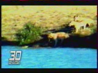 Histoire Vraie N°2 📖