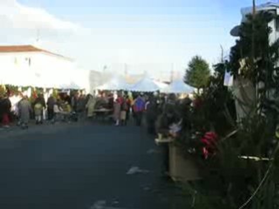 Basse Goulaine : village de Noël 2008