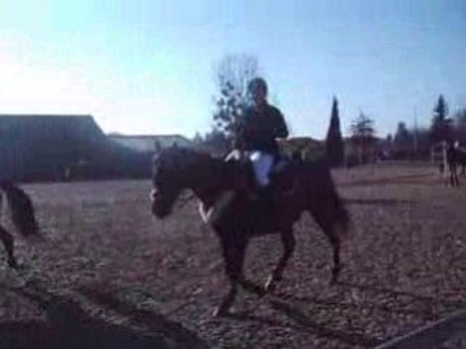 Pépé et moi en concours au paddock