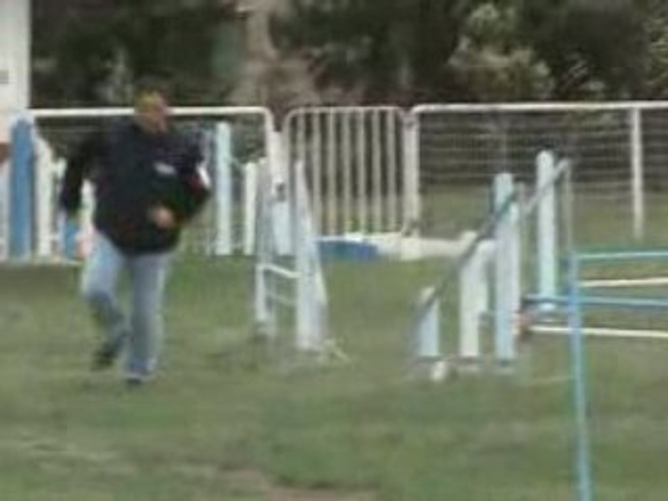 ArthusAgility2Côte Bleue02.11.08