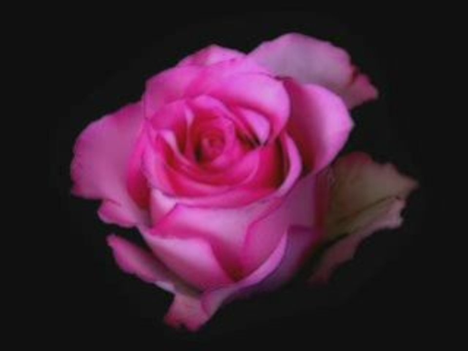 musique du monde  CE SOIR MON ANGE