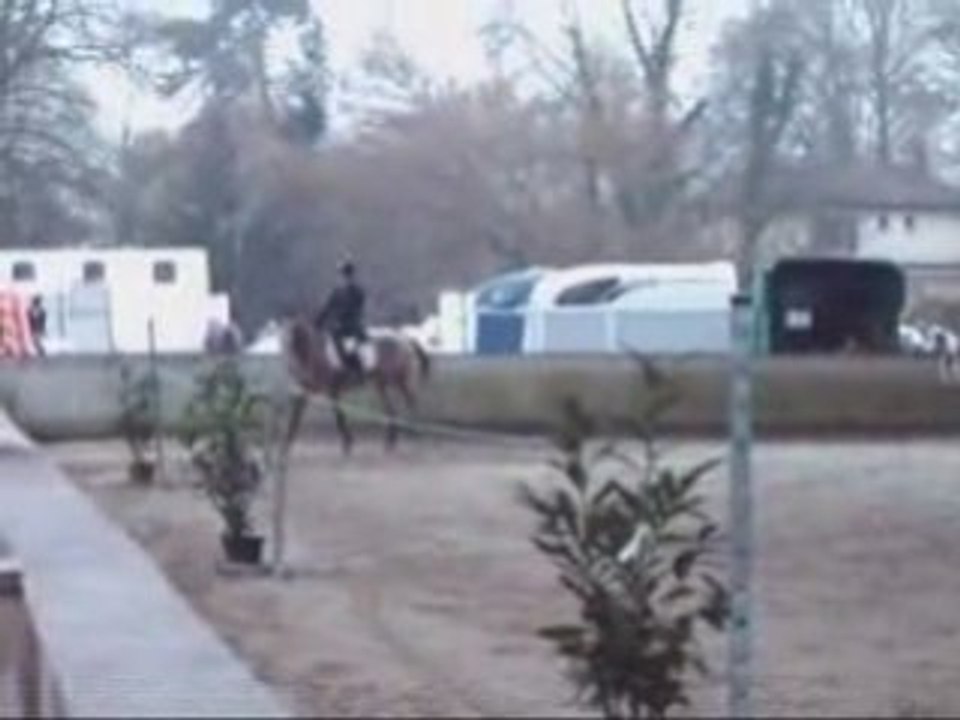 Concours dressage 07-12-2008 Cl2Pré