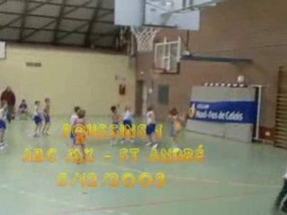 2008 12 06 POUSSINS 1 MOUVAUX ST ANDREE