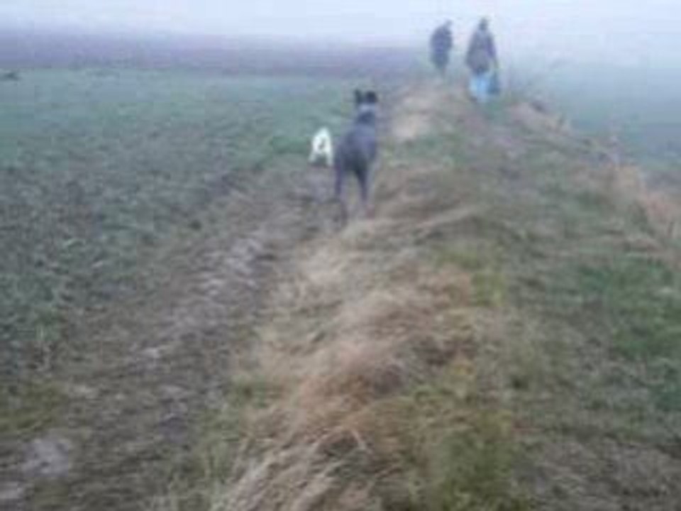 Vanda dans les champs avec Opium et Stito