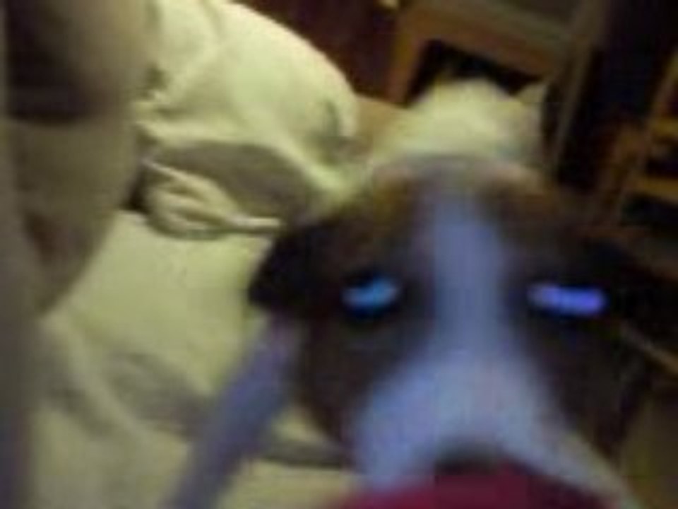 Chiki vs ma manche 2