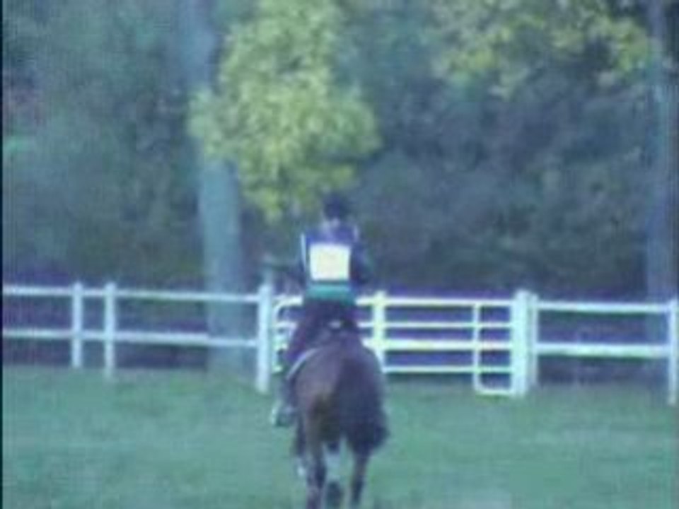 01 Lacelot cross