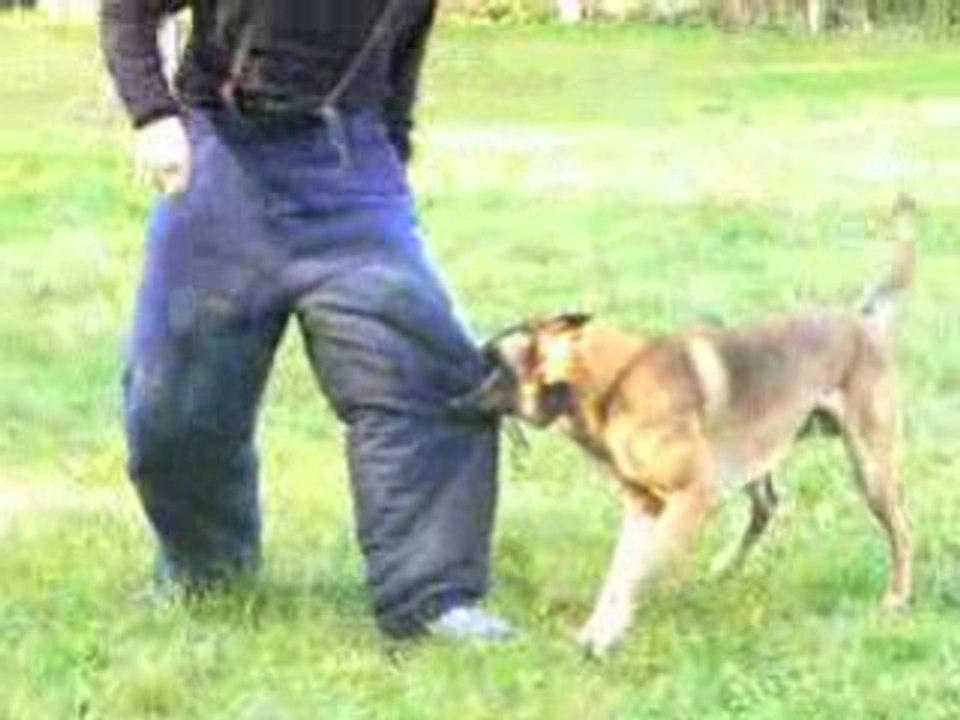Borris de la vallée du grand loup