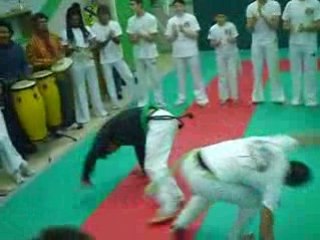 Tatu instructor ze pequenho instructor maloko