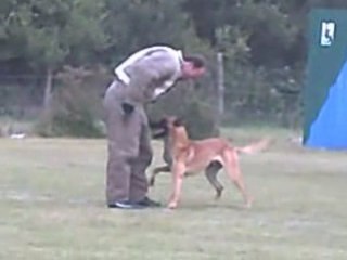 Bingo de la vallée du grand loup