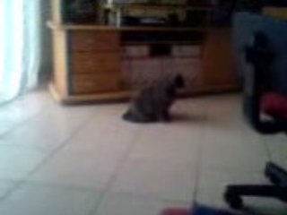 Mimi fé du breack dance