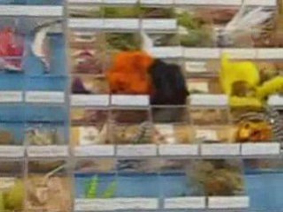 Saltwater Fly Fishing Store in New Orleans Louisiana