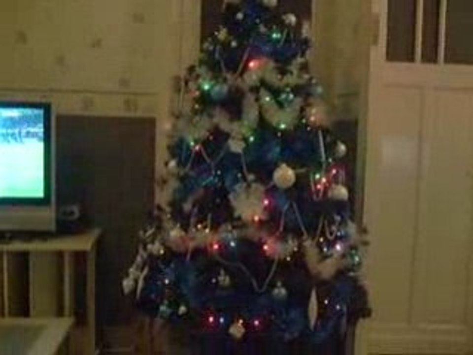 Sapin 2008