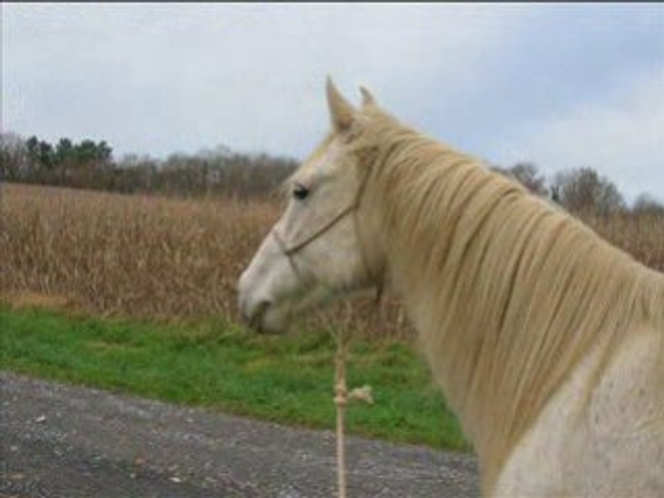 Lucky7.12.08