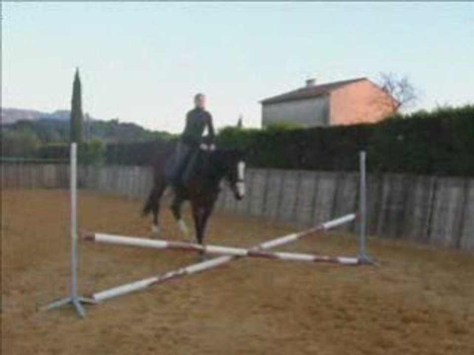 Lise et Wicked à l'obstacle