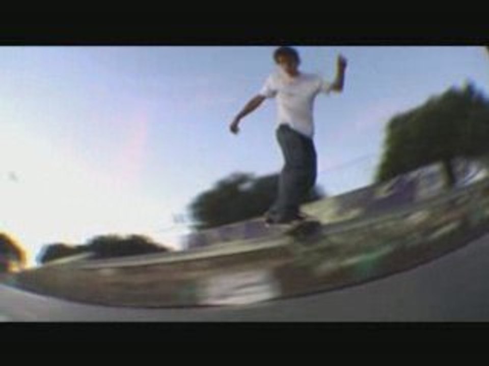 cat-skateboard grammont vlm