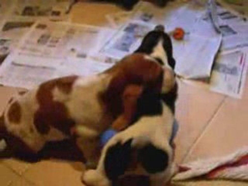 Que cest bon d'être en famille