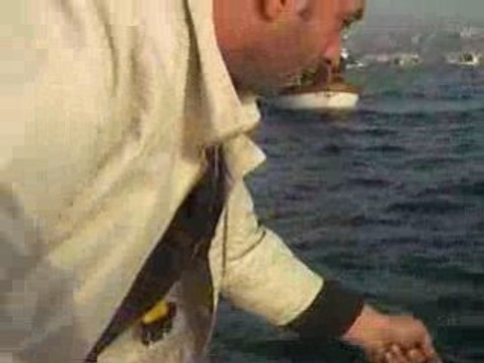 Lüfer avı sarayburnu