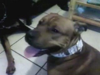 Cooper pleure