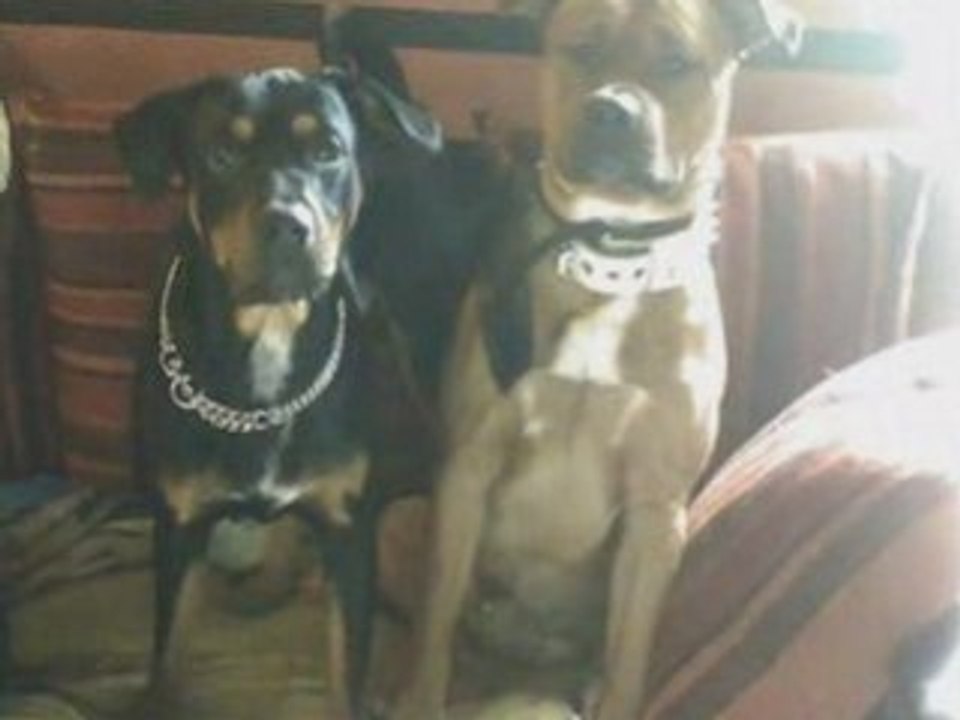 Cooper et roff ile marie