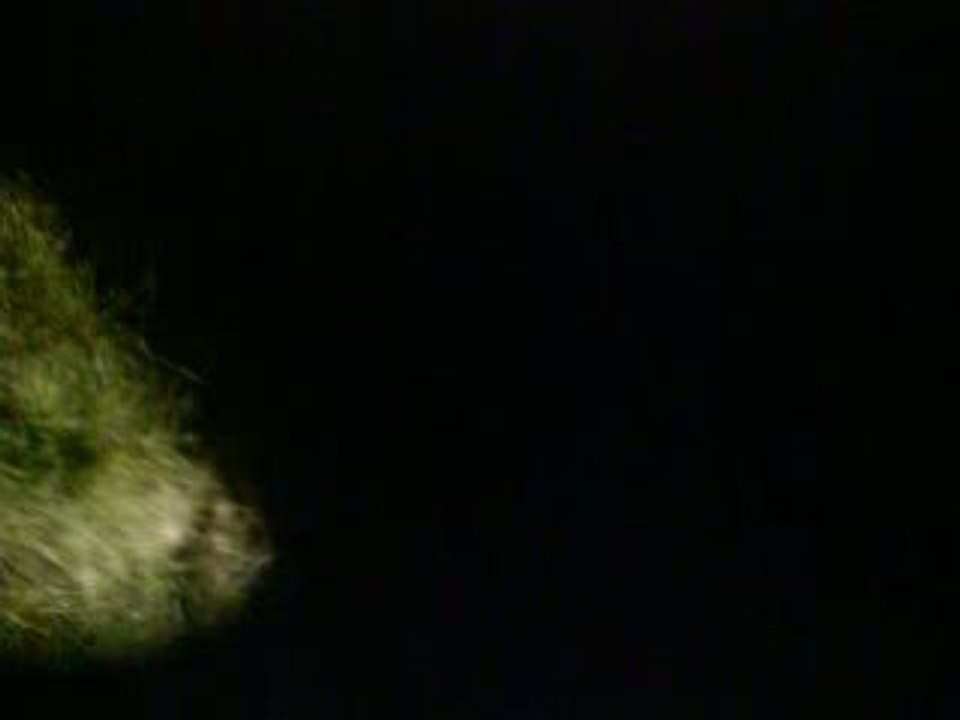 teuf D103 le 06-12-08