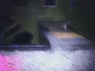 Fabolous is having a big party in Canada 2008