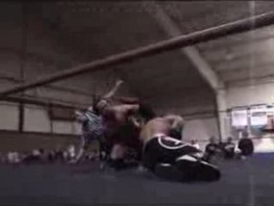 Phoenix Twins vs Absolute Answer