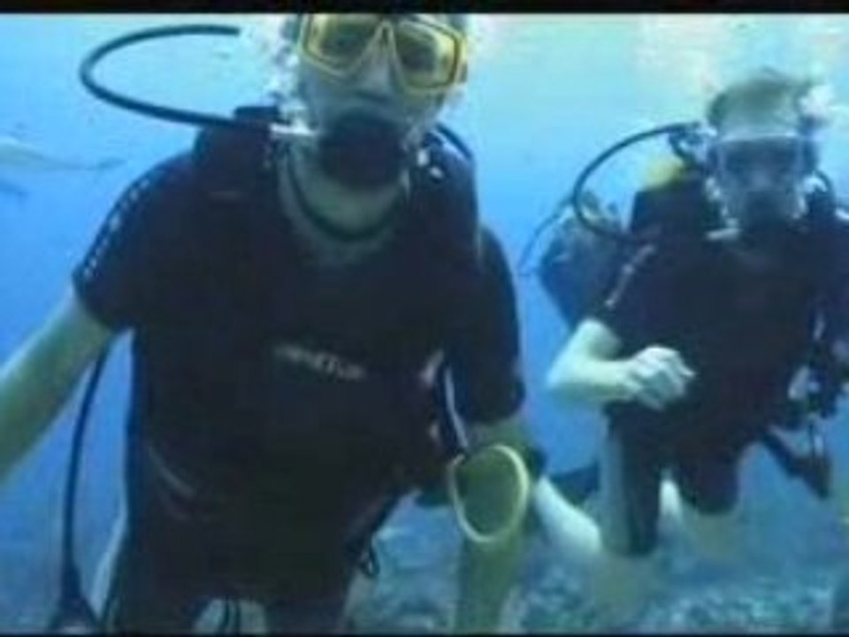 Plongée MOOREA