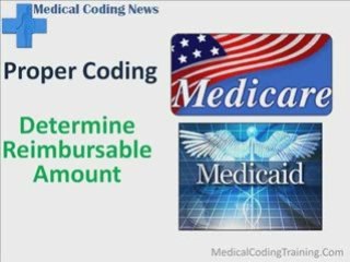What Is Medical Coding? A Complete Beginner's Guide 🩺