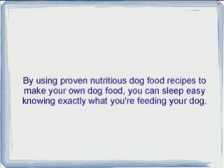 Want To Make Homemade Dog Food For Your Dog?
