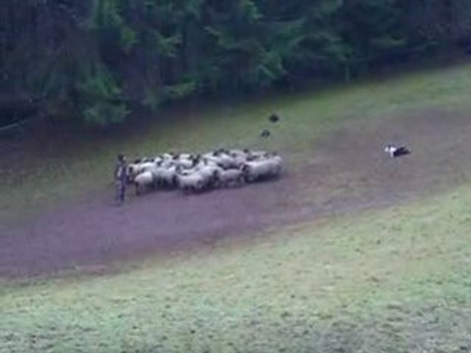 Journée troupeau du 07/12/2008 Déclic