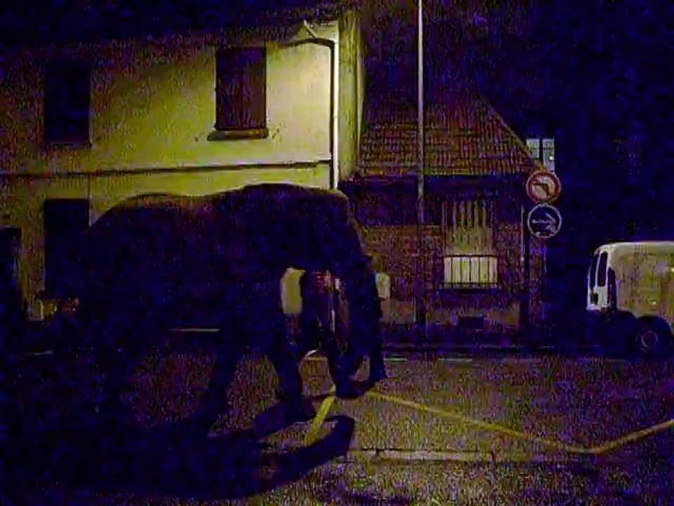 Un éléphant dans les rues de Beauvais