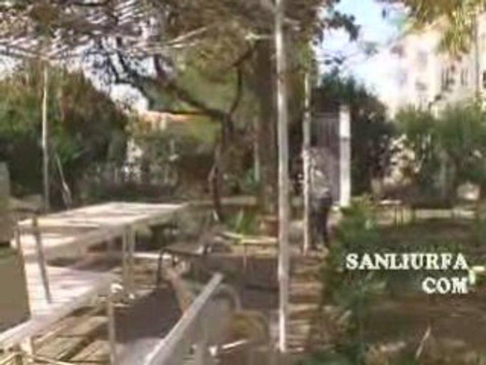 Urfada kacan kurbanliklar www.sanliurfa.com