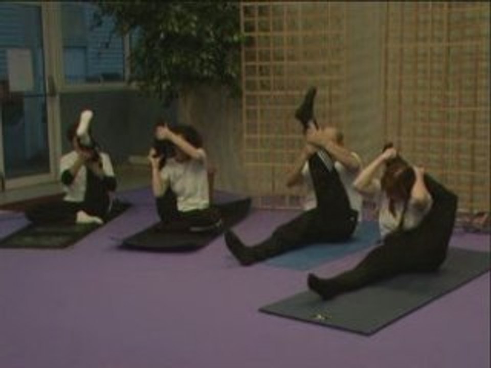 Yoga estillacais - Zina POPOVA - Marie Lyne Productions