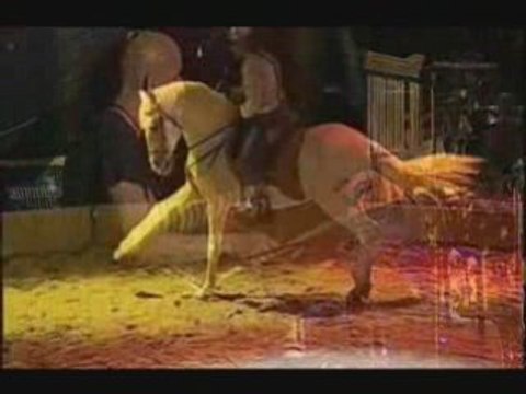 Spectacle équestre Mélodie en Cheval Majeur