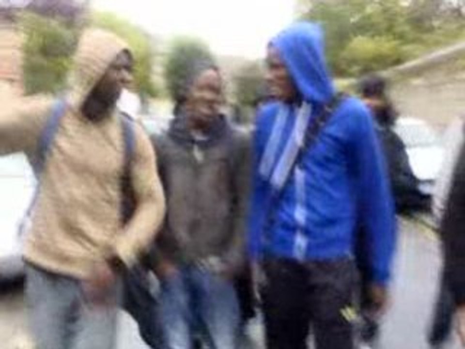 zoo nigray ris ( lé gwada) d barrr