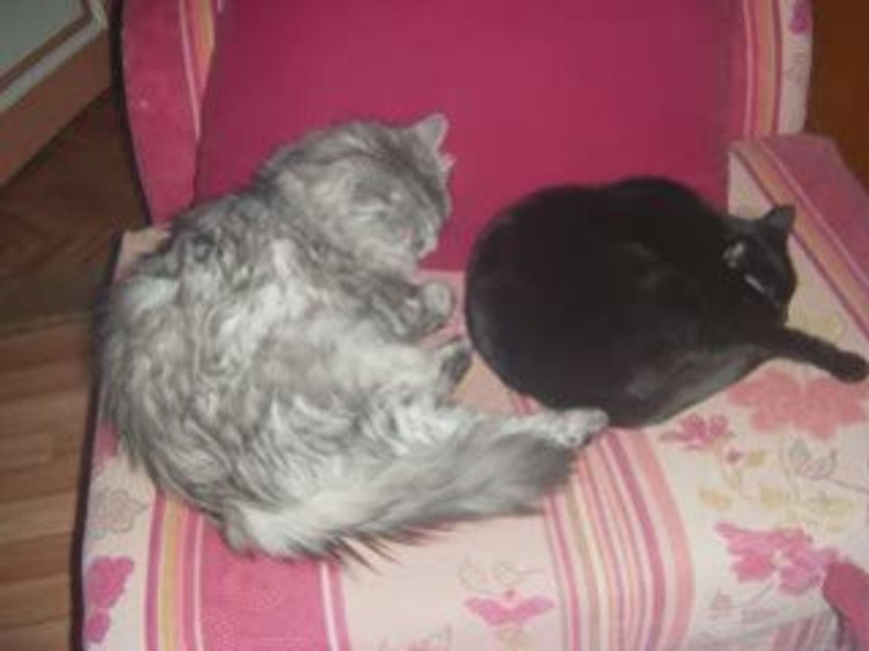 Chez Rachel Novembre 2008