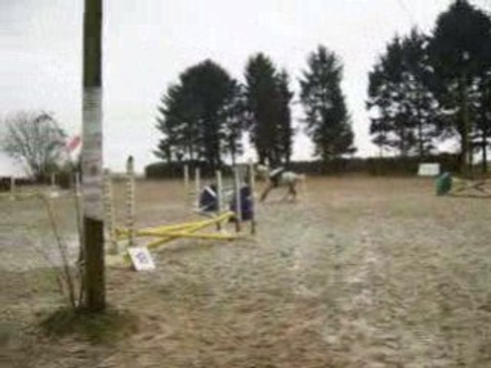 Chips et moi en concour