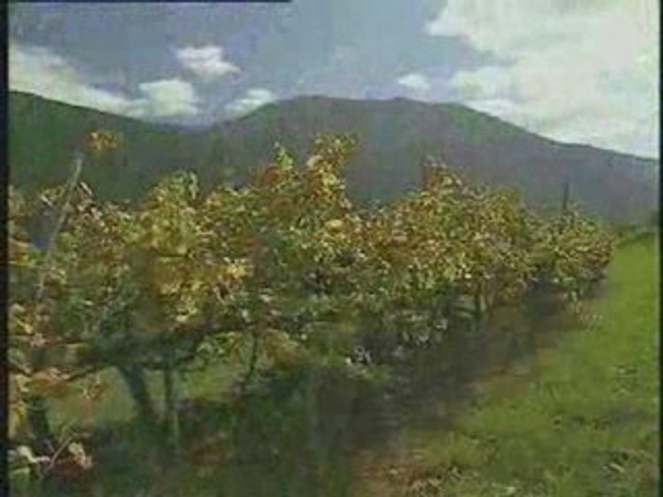 Reserva de la Biosfera Rio Eo,Oscos e Terras de Burón