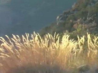 Balade automnale à Valdeblore