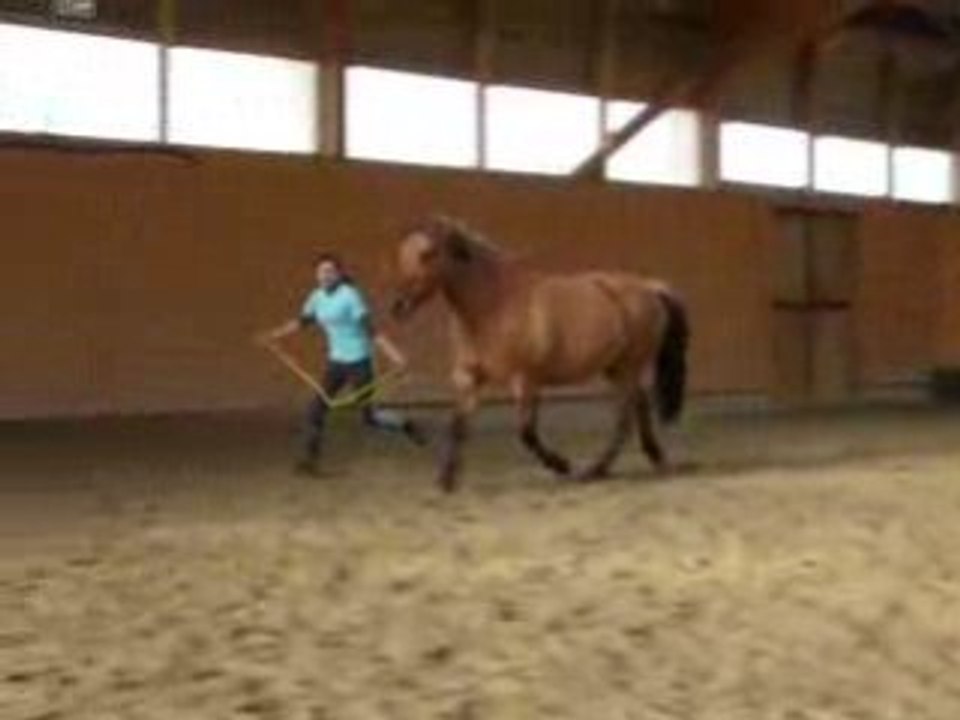 nora saut 1 ere