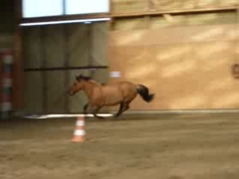 un petit galop