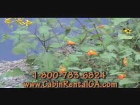 Cabin Georgia Rental on Creek near Blue Ridge Mountains