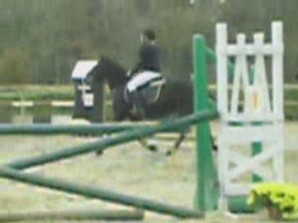 Mon poney