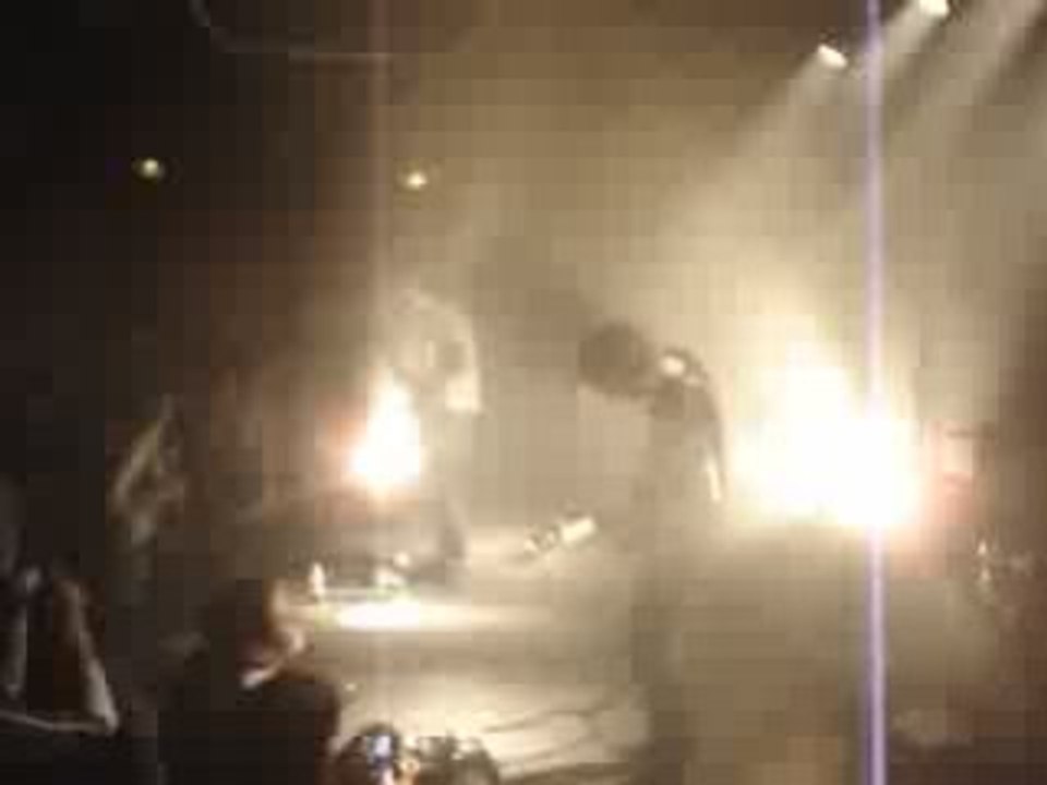 Origin of Illness Le tamanoir