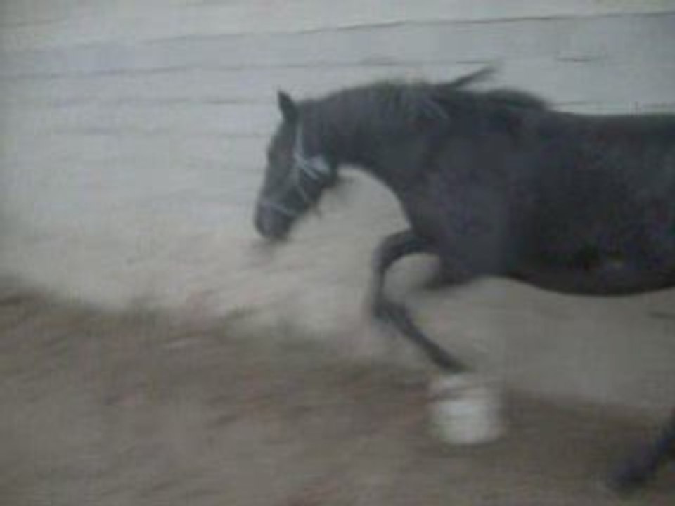 Miracle08.12.08